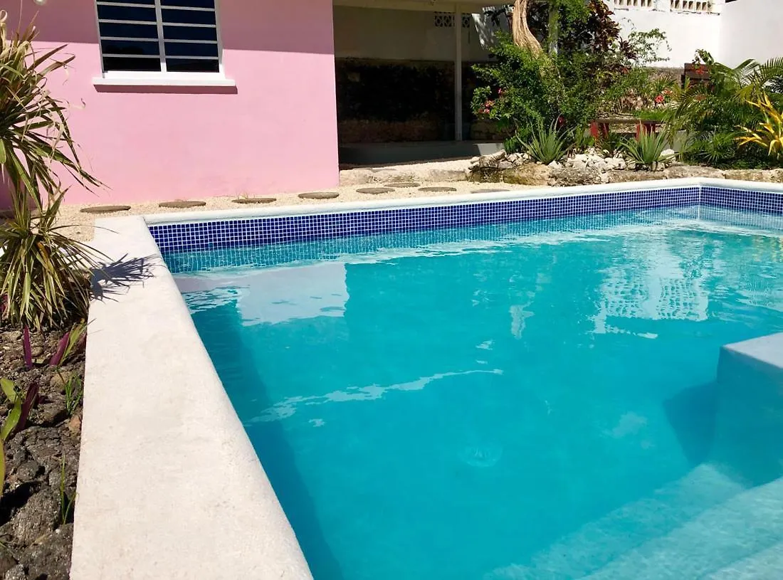 דירה ברידג'טאון Saltlife Apartments, Hastings ברבדוס